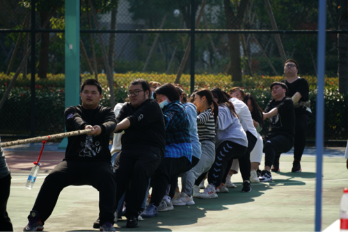 图片8