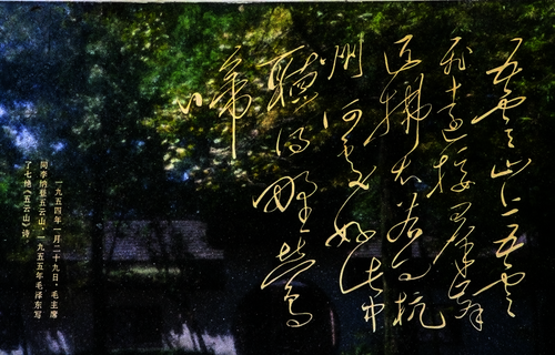 图片4